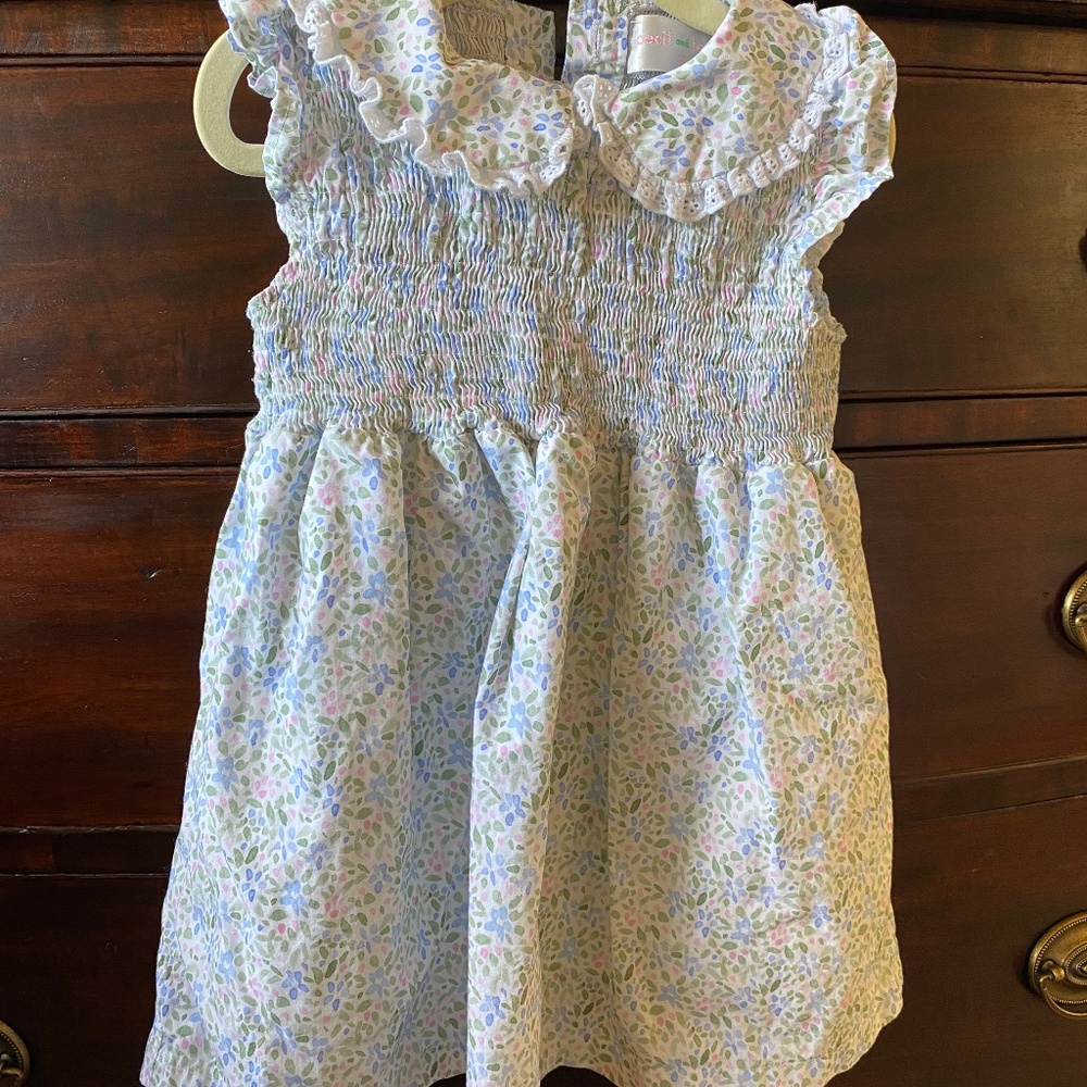 Cecil and Lou Smocked Floral Dress